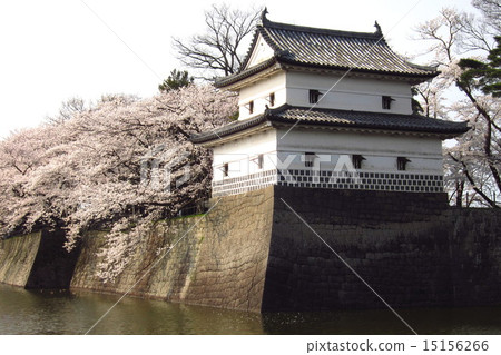 Shibata城堡的春天 Shibata城堡的春天 15156266