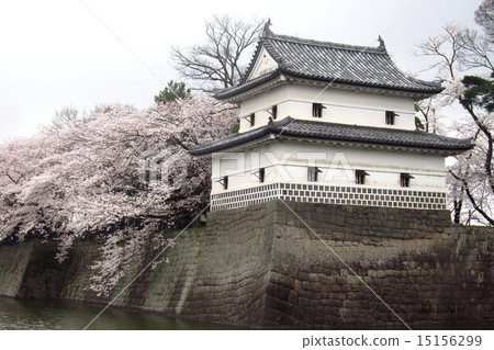 Spring of Shibata castle 15156299