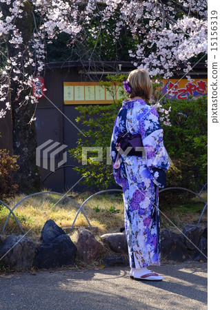 日本服裝遊客 15156319