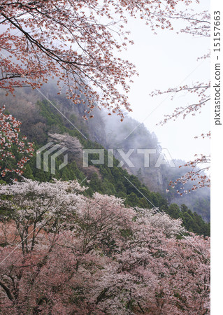 折疊的岩石 15157663