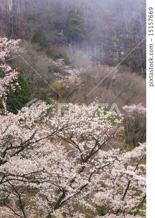 折疊的岩石 15157669