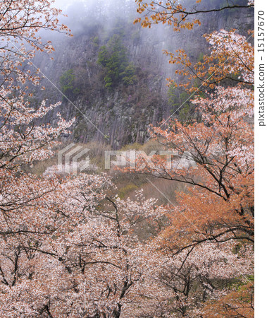 折疊的岩石 15157670