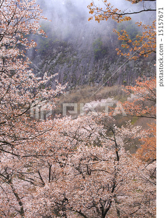 折疊的岩石 折疊的岩石 15157671