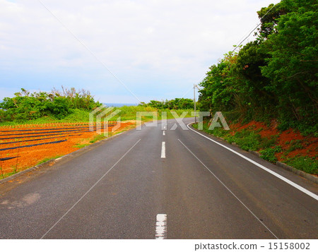 永遠的道路 永遠的道路 15158002