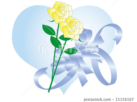 White rose on Father's Day White rose on Father's Day 15158107