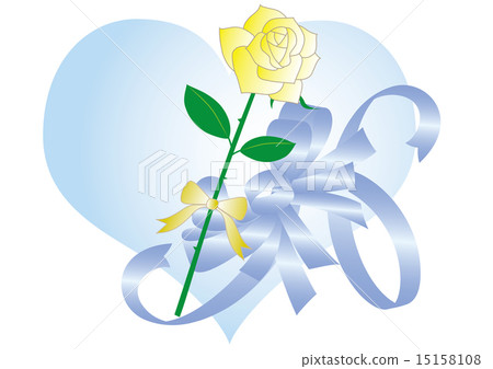 White rose on Father's Day 15158108