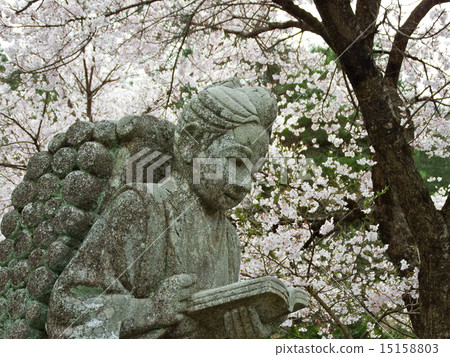 Kinjiro Ninomiya and Sakura 15158803