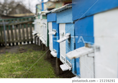 apiary. For your commercial and editorial use 15159291