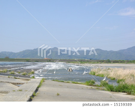 德島吉野川 德島吉野川 15159389