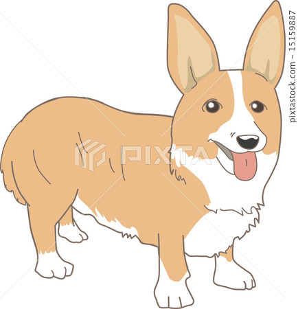 vector, vectors, welsh corgi pembroke 15159887