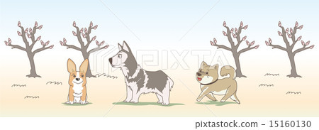siberian husky, vector, vectors 15160130