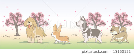 golden retriever, siberian husky, vector 15160131