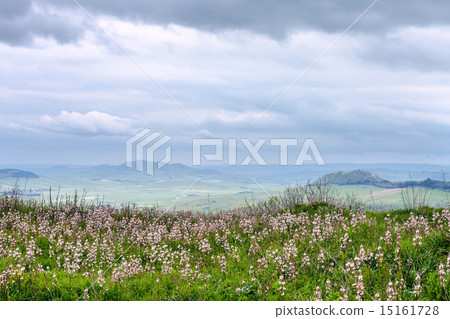 sicilian landscape in rainy spring day 15161728