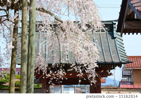 Yen Toji的Fern Shima 15162814