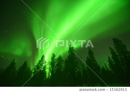 Aurora Aurora 15162913