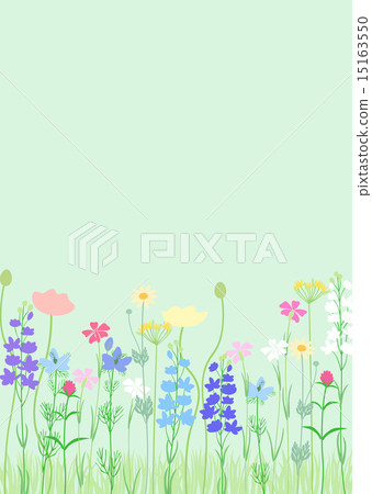 Natural garden Cute flowers 15163550