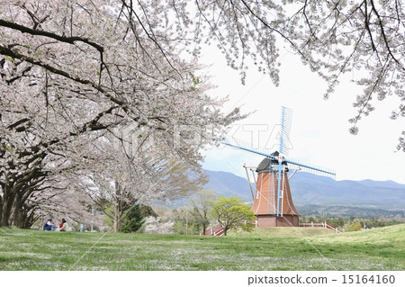 Large Oguri Furura Ranch Large Oguri Furura Ranch 15164160