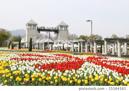 Gunma Flower Park Gunma Flower Park 15164161