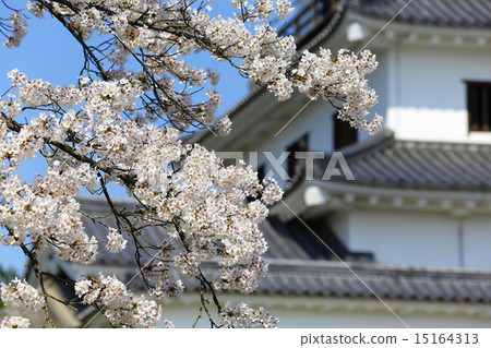 春天Masuoka公園白石城堡三生 15164313