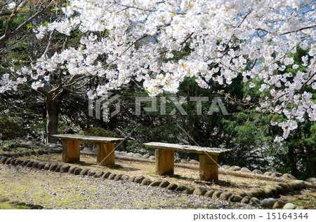 春天馬岡岡公園 春天馬岡岡公園 15164344