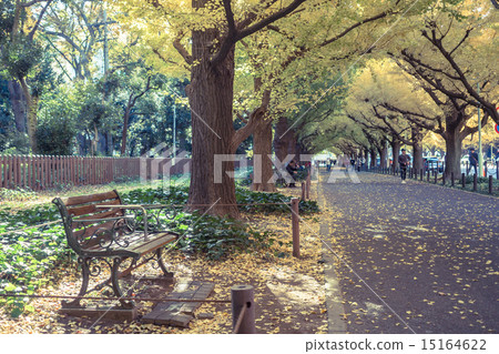 Landscape with a bench Jingu Gaien 15164622