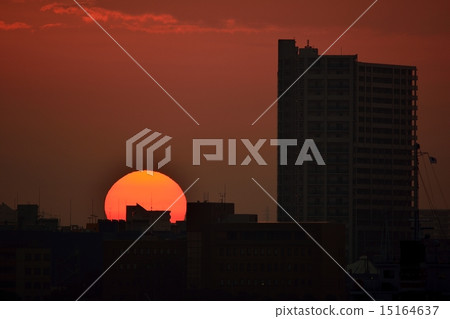 城市黎明 15164637