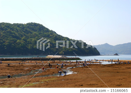 Clamming Clamming 15166065