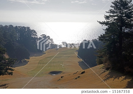 宮崎縣鳳凰城卡魯夫 15167358