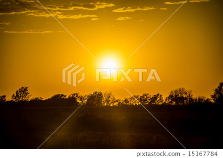 golden sunset over farm field 15167784