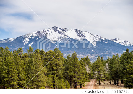 landscape with Humphreys Peak Tallest in Arizona 15167793