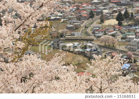 本地線彈簧 本地線彈簧 15168031