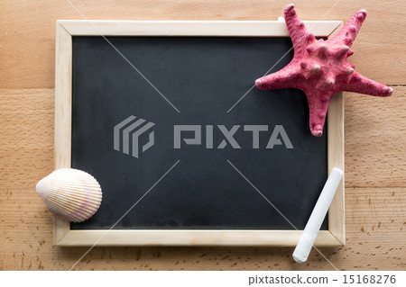 Closeup of seashells and starfish lying on blank blackboard Closeup of seashells and starfish lying on blank blackboard 15168276