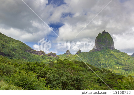  莫雷阿島 15168733