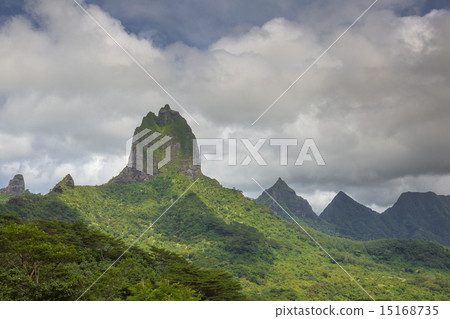  莫雷阿島 15168735