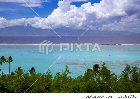  莫雷阿島 15168736