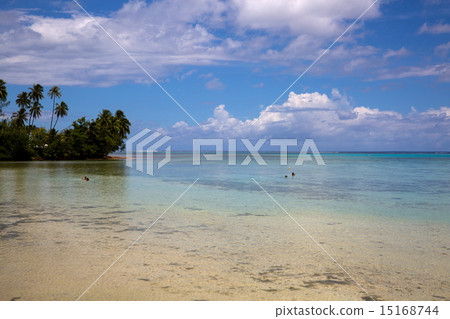  莫雷阿島 15168744