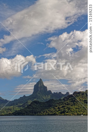  莫雷阿島 15169233