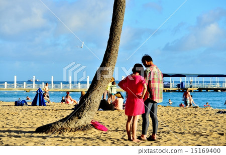 Holidays in Hawaii Holidays in Hawaii 15169400