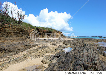 Kayo組形成 Kayo組形成 15169583