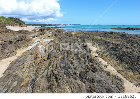 Kayo組形成 15169623