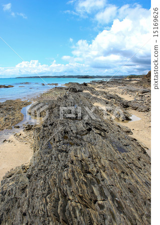 Kayo組形成 15169626