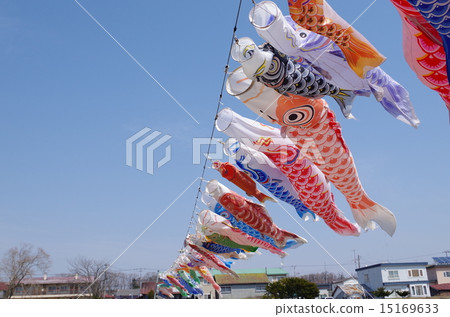    Carp streamer 15169633