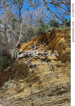 Kayo Formation Formation Kayo Formation Formation 15169708