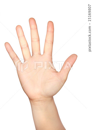 Women hand on white background Women hand on white background 15169807