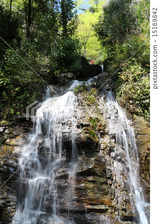 Shirataki公園 15169842