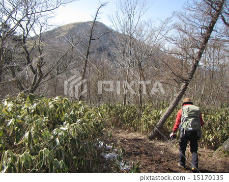 Ryuga mountain climbing road and male back Ryuga mountain climbing road and male back 15170135