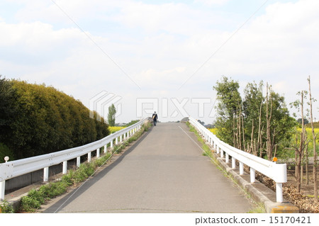 Spring Bridge 15170421