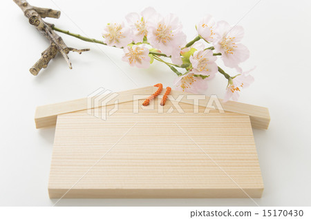 Cherry blossom 15170430