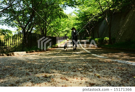 Promenade 15171366