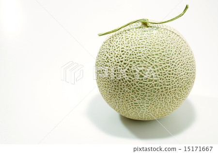 cantaloupe  15171667